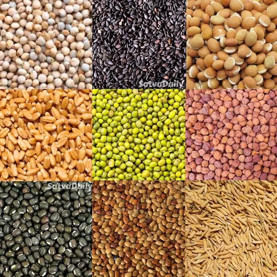 Navadhaniyam (Nine Sacred Grains) – Traditional Pooja Grains