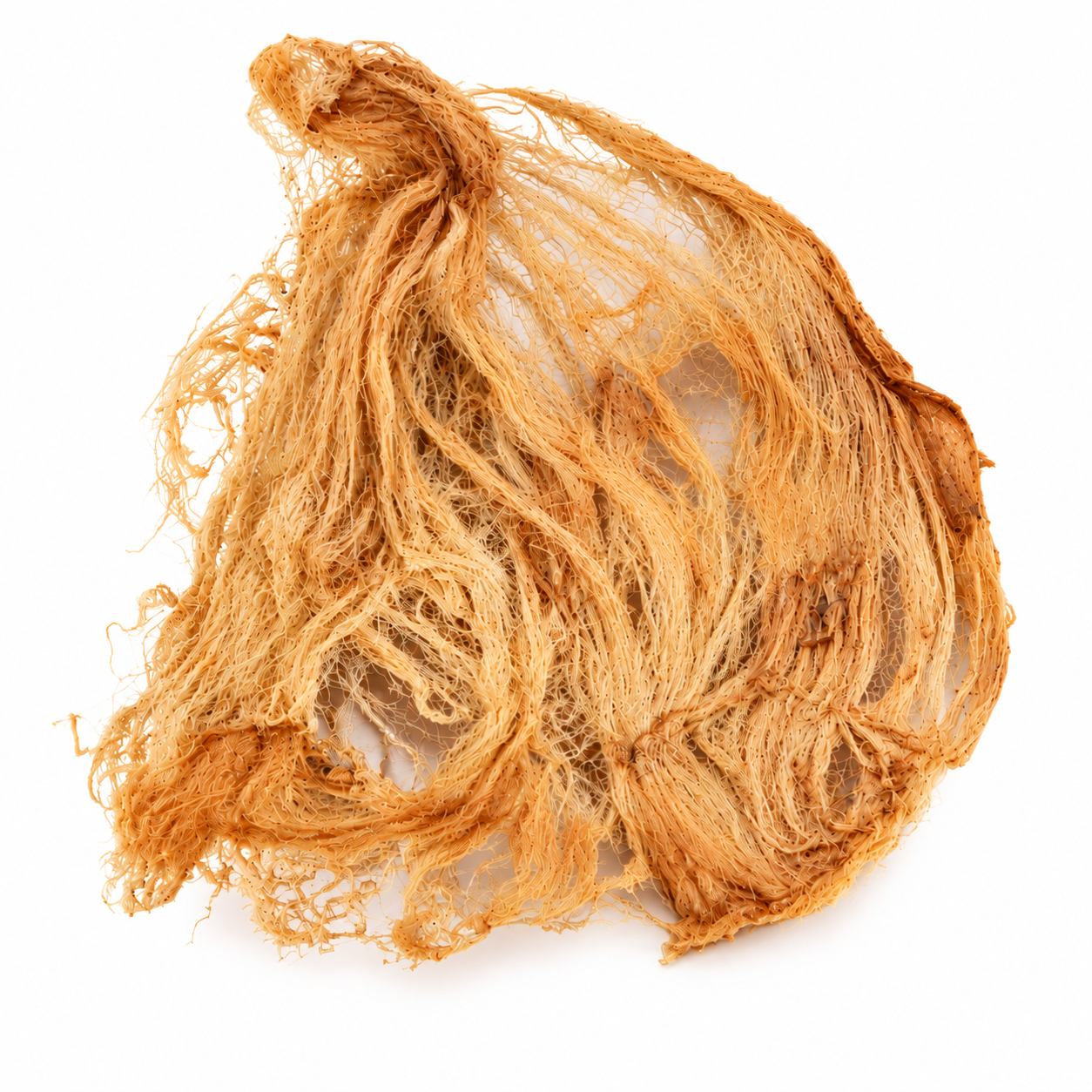 Banana Stem Wick – Natural Pooja Diya Wick
